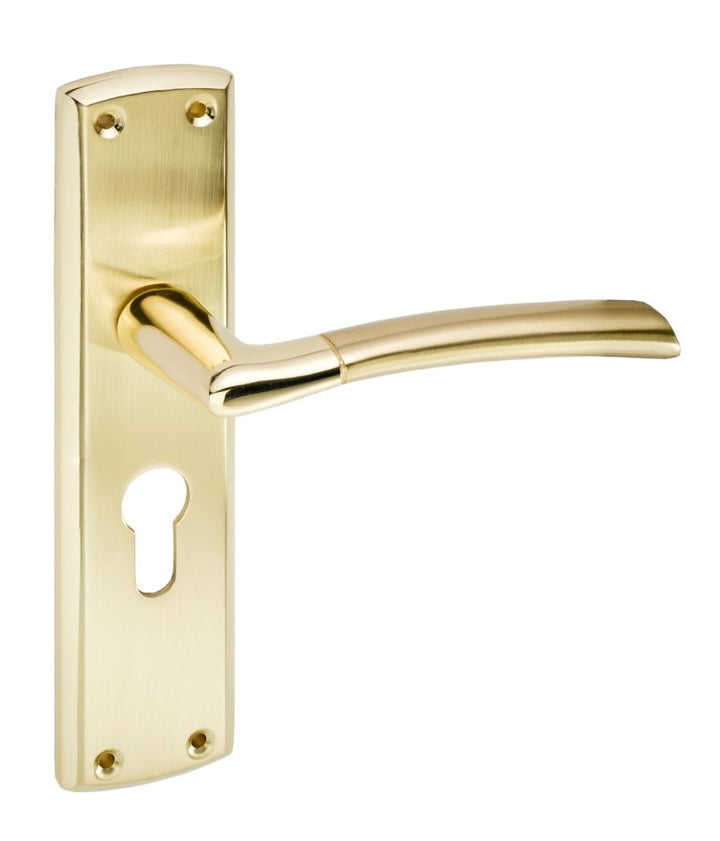 Tifosi Design Lever on Plate Door Handle Polished Brass , Satin Brass