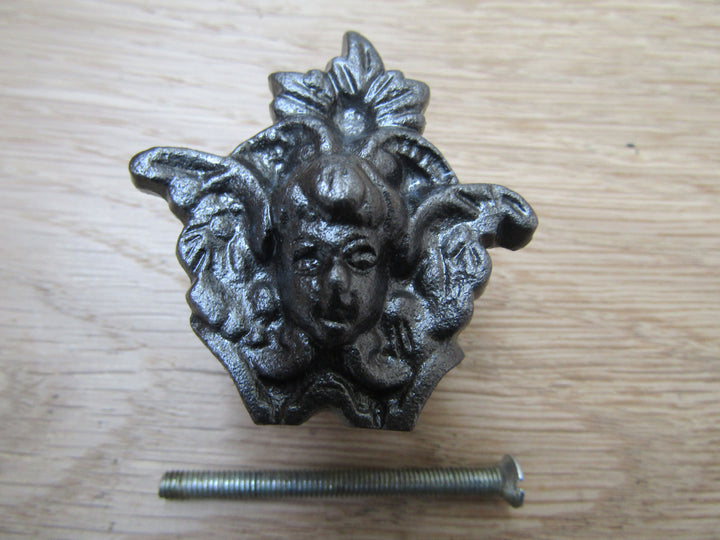 Queen Head Cabinet Knob 40mm.