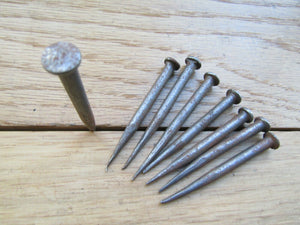 Pack of 10 Rose Head Blacksmith Deco Nails 60mm.