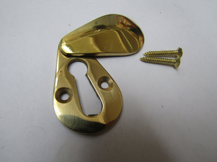 Pear Drop Escutcheon Polished Brass.